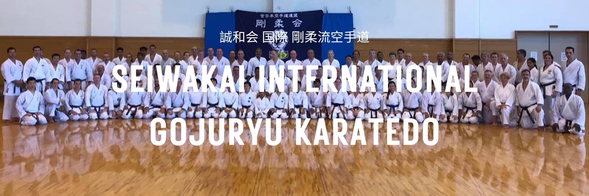 International Seiwakai Gojuryu Karatedo members in Japan